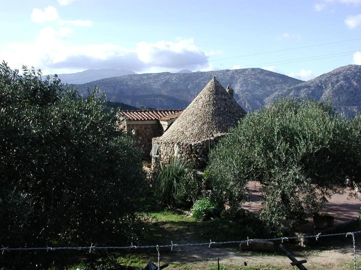 Casa In Campagna Hotell Dorgali Exteriör bild