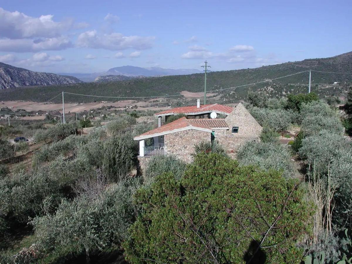 Casa In Campagna Hotell Dorgali Exteriör bild
