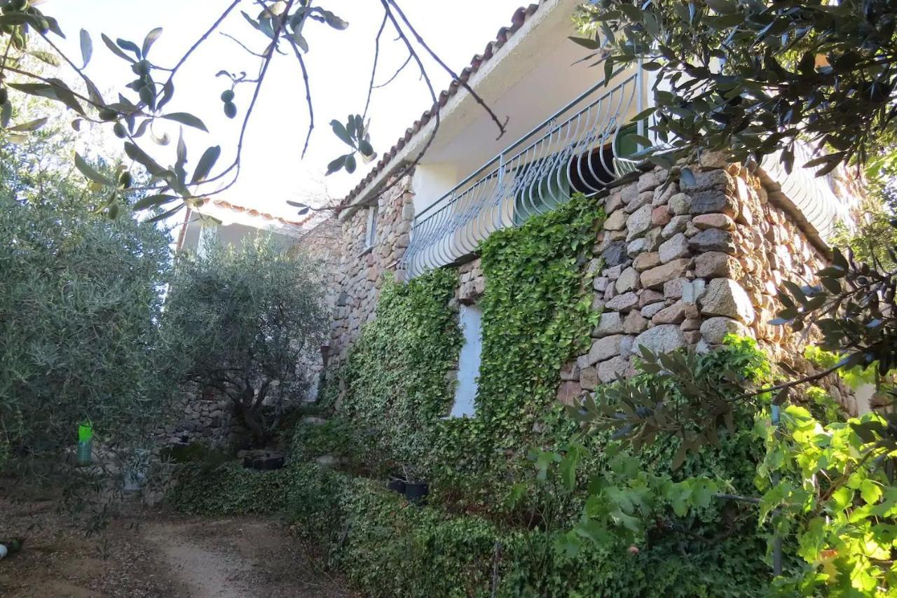 Casa In Campagna Hotell Dorgali Exteriör bild