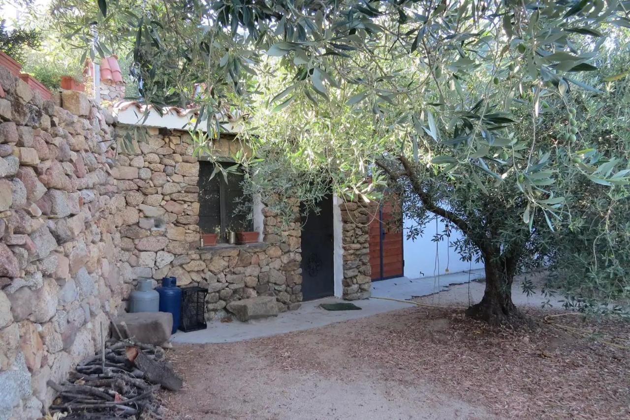 Casa In Campagna Hotell Dorgali Exteriör bild